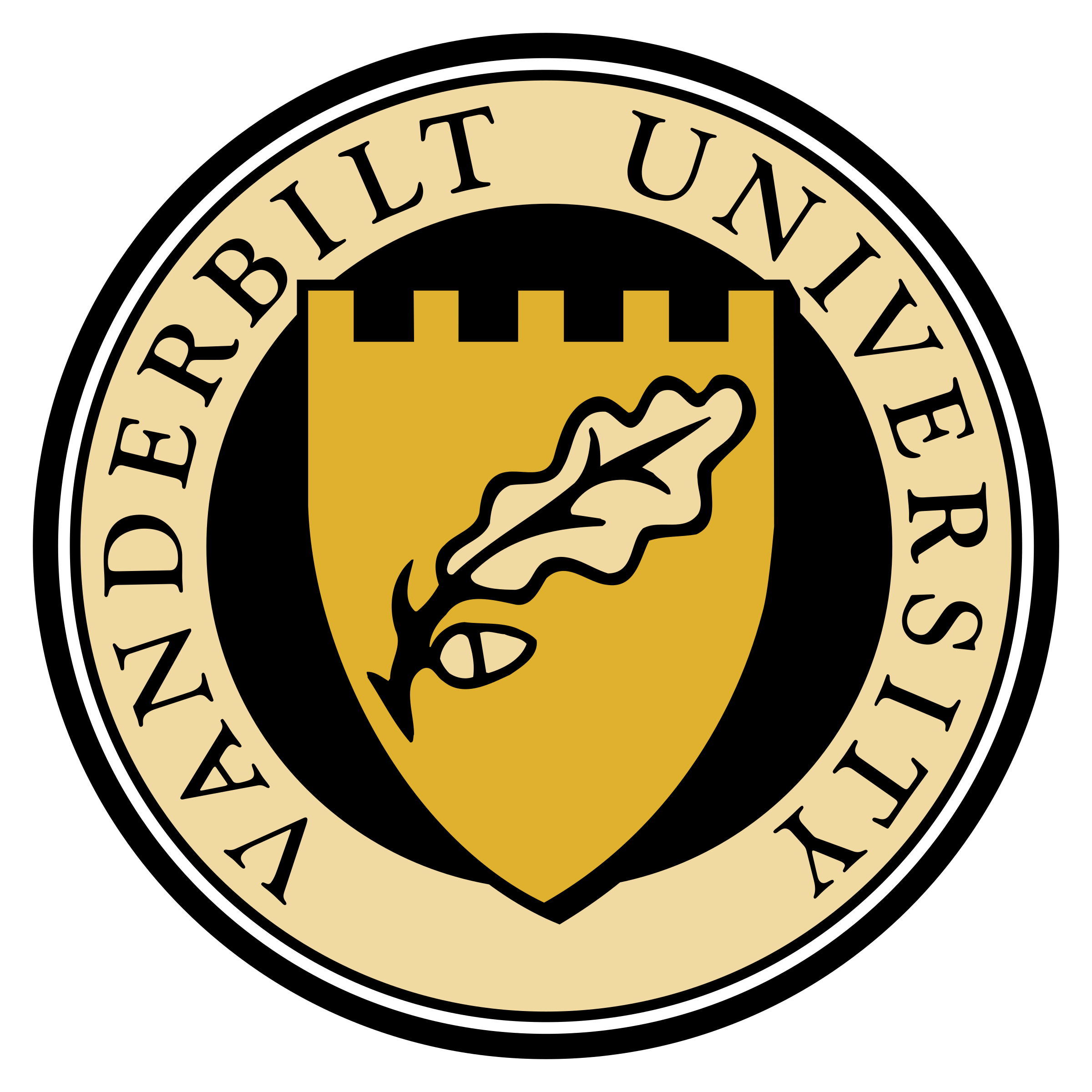 Vanderbilt Uni logo